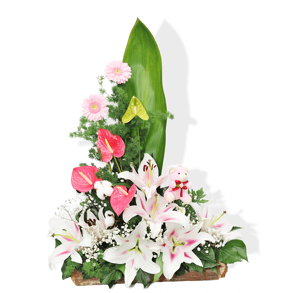 aranzman-gerber-anturijum-i-orijental