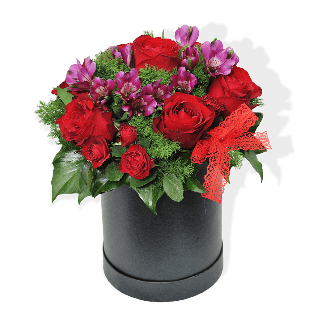 box-ruze-altromerija