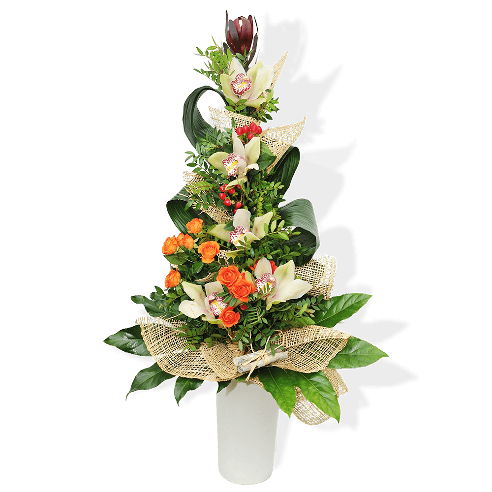 buket-orhideje-ruze-aralija-c014