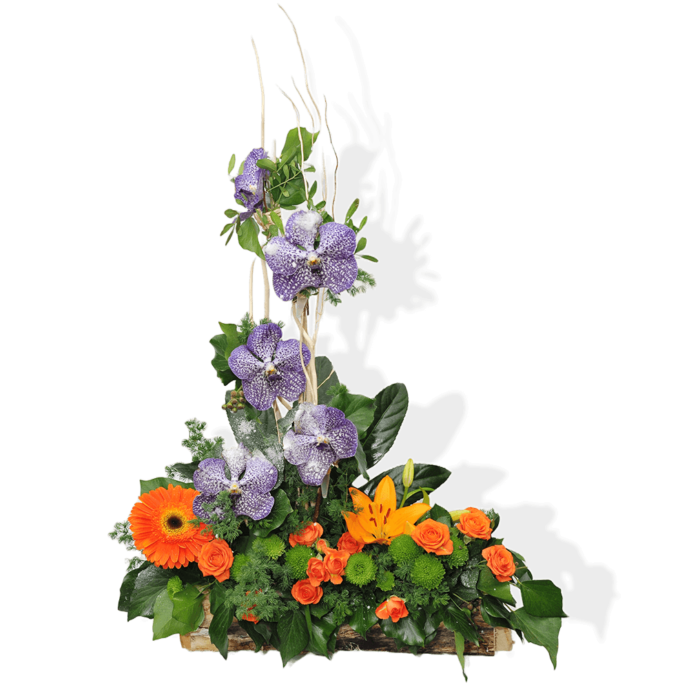 cvetni-aranzman-phalenopsis-gerber-ljiljan-ruze