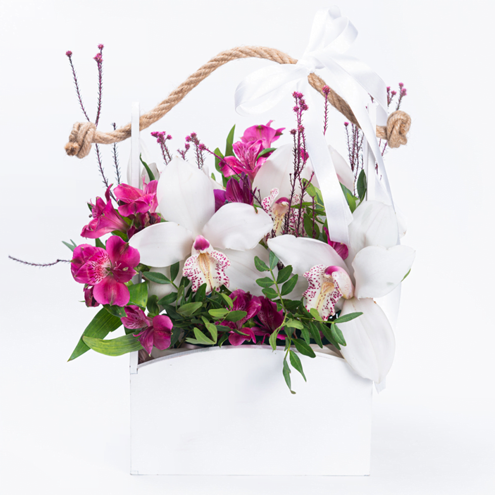 cvetna-korpica-orhideje